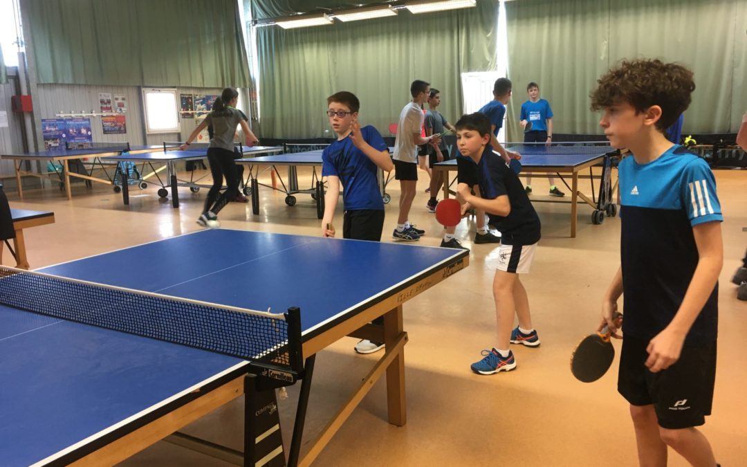 Compétition district badminton pour les benjamins et tennis de table établissement le mercredi 29 janvier