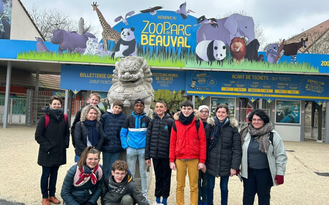Séjour ULIS 2023 : première journée au zoo de Beauval !